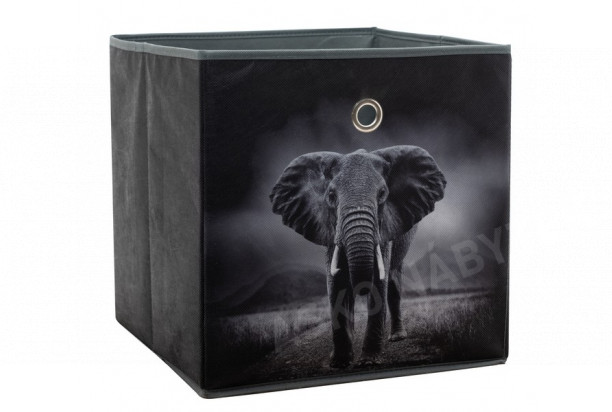 Úložný box Alfa, motiv slon v divočině