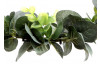 Umělý věnec Eukalyptus 26 cm, zelený