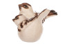 Dekorační soška Keramický hnědý ptáček, mix 2 druhů