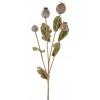 Umělá květina Makovice, 59 cm