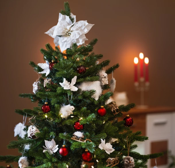 Šťastné a kouzelné