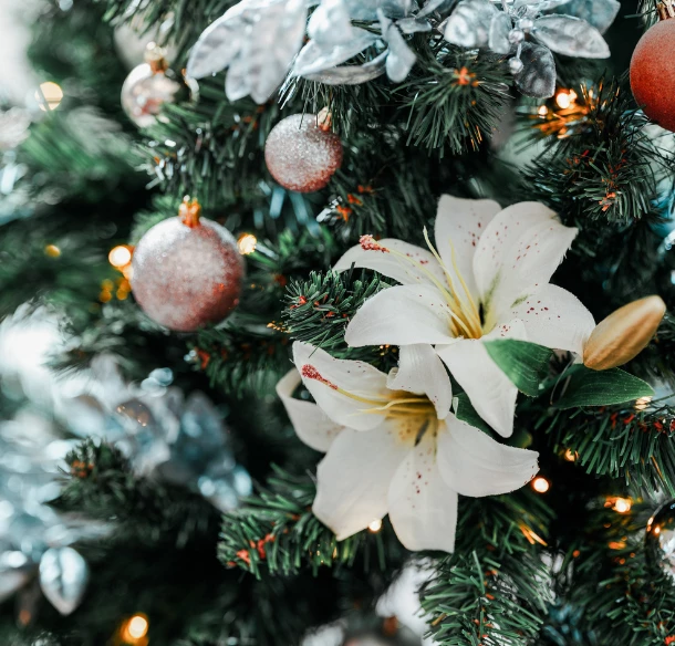 GLAMOUR NEBO KLASIKA?