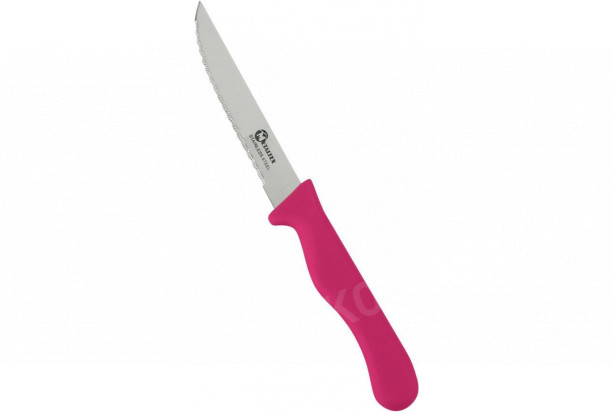 Nůž na steak Basic 21 cm, různé barvy