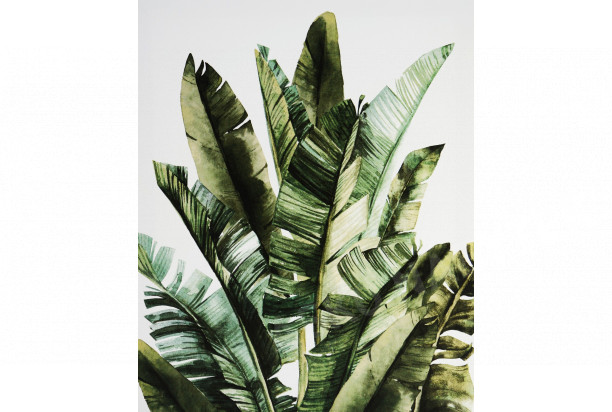 Obraz na plátně Zelené listy, 40x50 cm