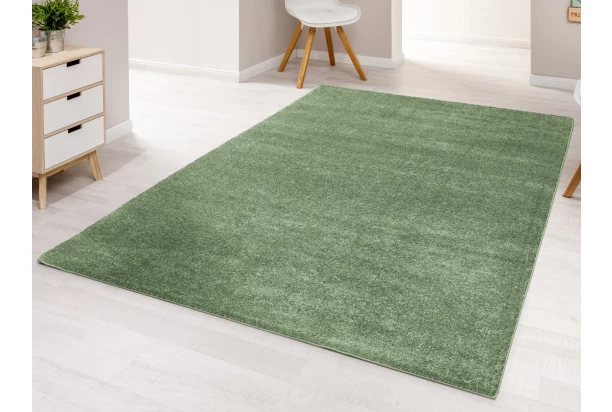Koberec Montana 120x170 cm, mátově zelená