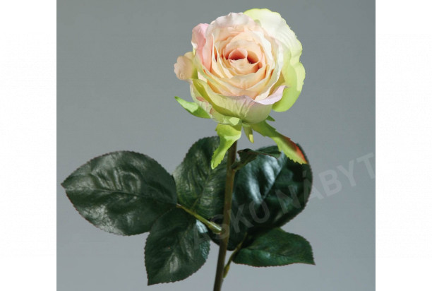 Umělá květina Růže Equador, krémová
