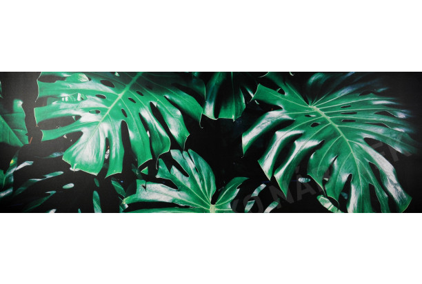 Obraz na plátně Zelené listy na černém pozadí, 150x50 cm