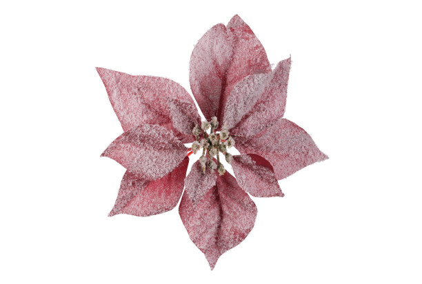 Umělý květ Zasněžená vánoční hvězda 22 cm, červená