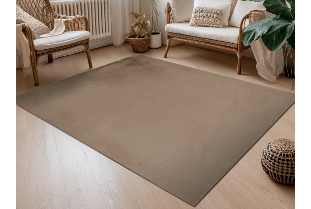 Koberec Albi 120x170 cm, taupe