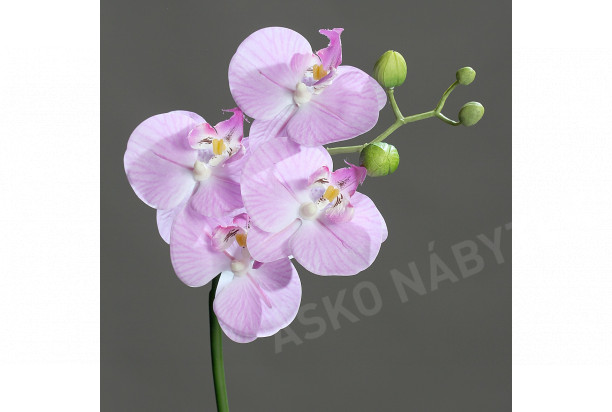 Umělá květina Naturel Orchidej, levandulová
