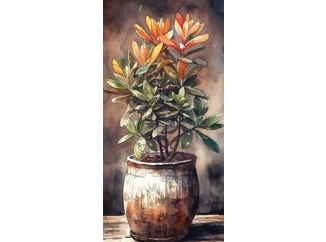 Obraz na plátně Akvarelový sukulent, 20x40cm