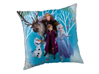 Dětský polštářek Disney Frozen, 40x40 cm