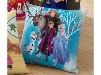 Dětský polštářek Disney Frozen, 40x40 cm