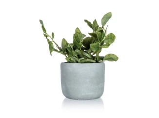 Umělá rostlina v květináči 18 x 20 cm, zelená