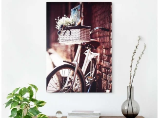 Obraz na plátně Kolo s košíkem, 50x70 cm