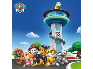 Dětský obraz Paw Patrol velká parta, 35x35 cm