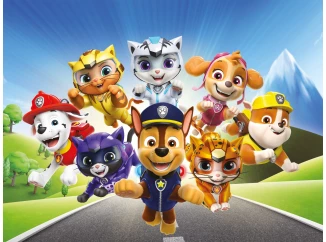 Dětský obraz Paw Patrol na cestě, 61x46 cm