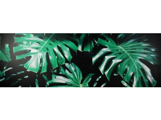 Obraz na plátně Zelené listy na černém pozadí, 150x50 cm