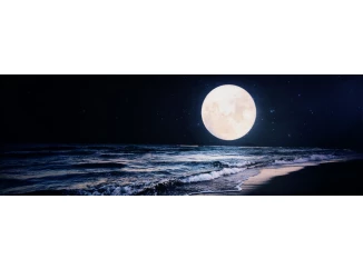 Obraz na plátně Noční krása, 150x50 cm