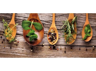 Obraz na zeď Koření, 70x33 cm