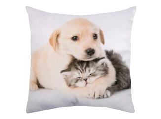 Dekorační polštářek Pejsek s kočičkou, 25x25 cm