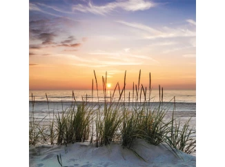 Obraz na zeď Západ slunce u moře, 35x35 cm