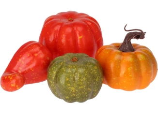 Dekorace Dýně v síťce