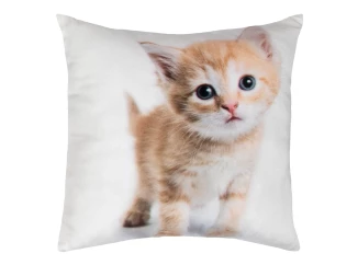 Dekorační polštářek Zrzavé kotě, 25x25 cm