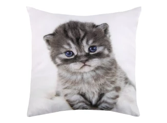 Dekorační polštářek Kotě s modrýma očima, 25x25 cm