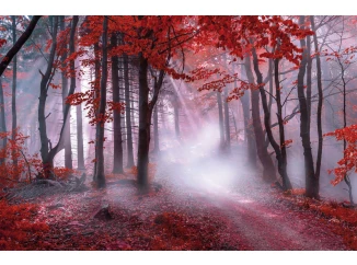 Obraz na plátně Karmínový les, 118x78 cm