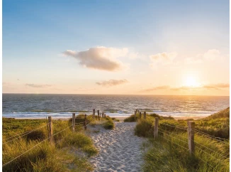 Obraz na plátně Písečná cesta k moři, 61x46 cm