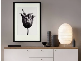 Rámovaný obraz Botanical I 35x50 cm, černobílý