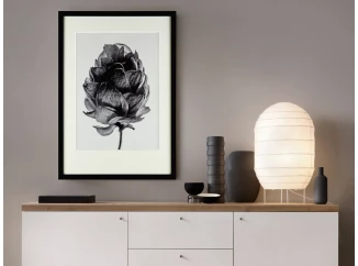 Rámovaný obraz Botanical II 35x50 cm, černobílý