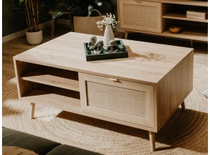 Úložný konferenční stolek Bali, dub sonoma/výplet