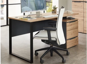 Psací stůl Memphis 120 cm, dub artisan/grafit