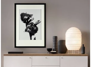 Rámovaný obraz Botanical III 35x50 cm, černobílý