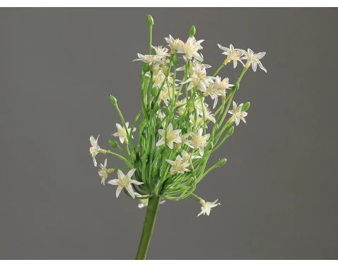 Umělá květina Česnek 70 cm, krémový