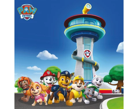 Dětský obraz Paw Patrol velká parta, 35x35 cm