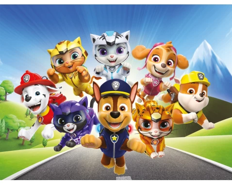 Levně Dětský obraz Paw Patrol na cestě, 61x46 cm