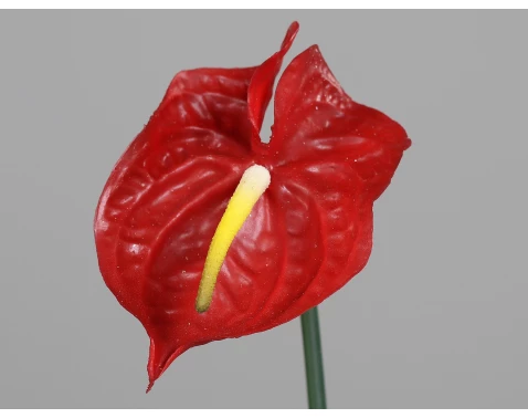 Umělá květina Anthurium 65 cm, červená