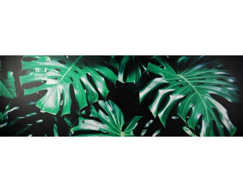Levně Obraz na plátně Zelené listy na černém pozadí, 150x50 cm