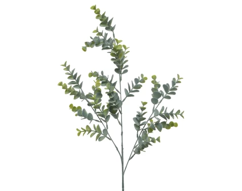 Umělá rostlina Eukalyptus 73 cm, zelená
