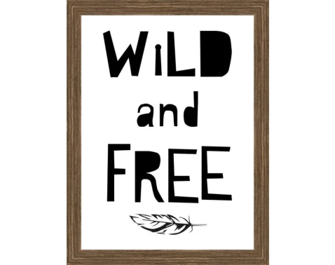 Levně Rámovaný obraz Wild and free, 18x24 cm
