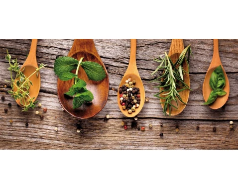 Obraz na zeď Koření, 70x33 cm