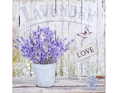 Levně Obraz na plátně Levandule zátiší Love, 40x40 cm
