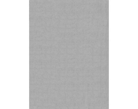 Koberec Cozy 80x150 cm, šedý