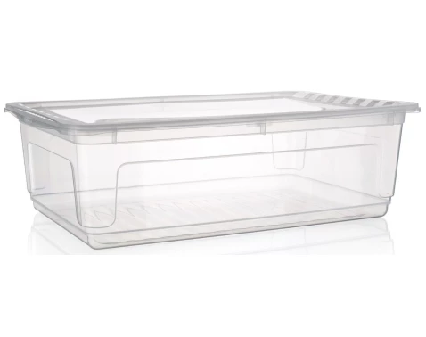 Úložný box Bea 30 l, průhledný