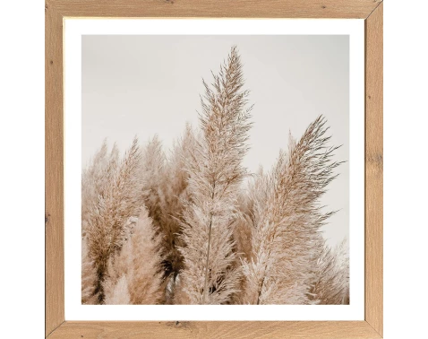 Levně Rámovaný obraz Pampas 35x35 cm, dub artisan