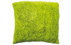 Chlupatý polštář XL Carmina 66x66 cm, zelený