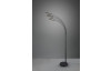 Stojací LED lampa Reed 195 cm, černá, 5 svítidel